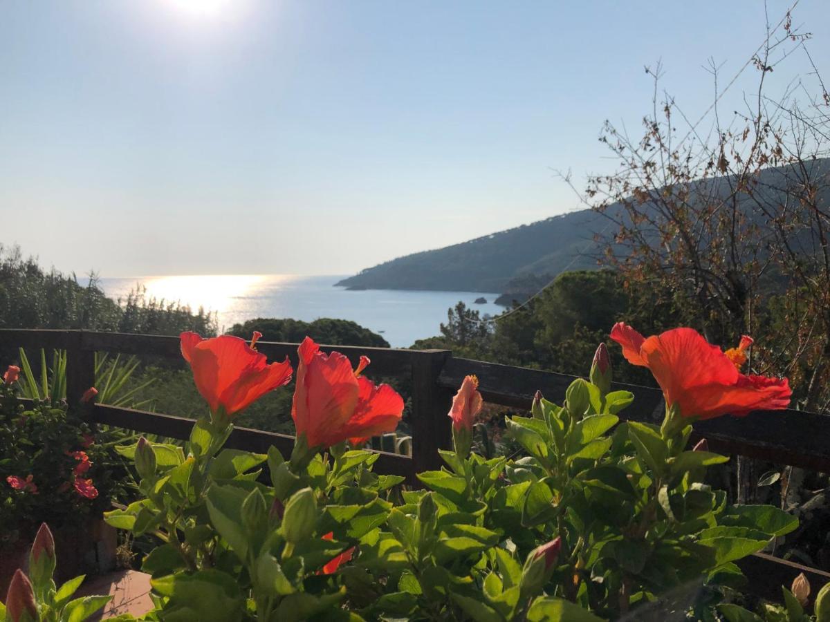 Case Dei Limoni Sul Mare كابوليفيري المظهر الخارجي الصورة