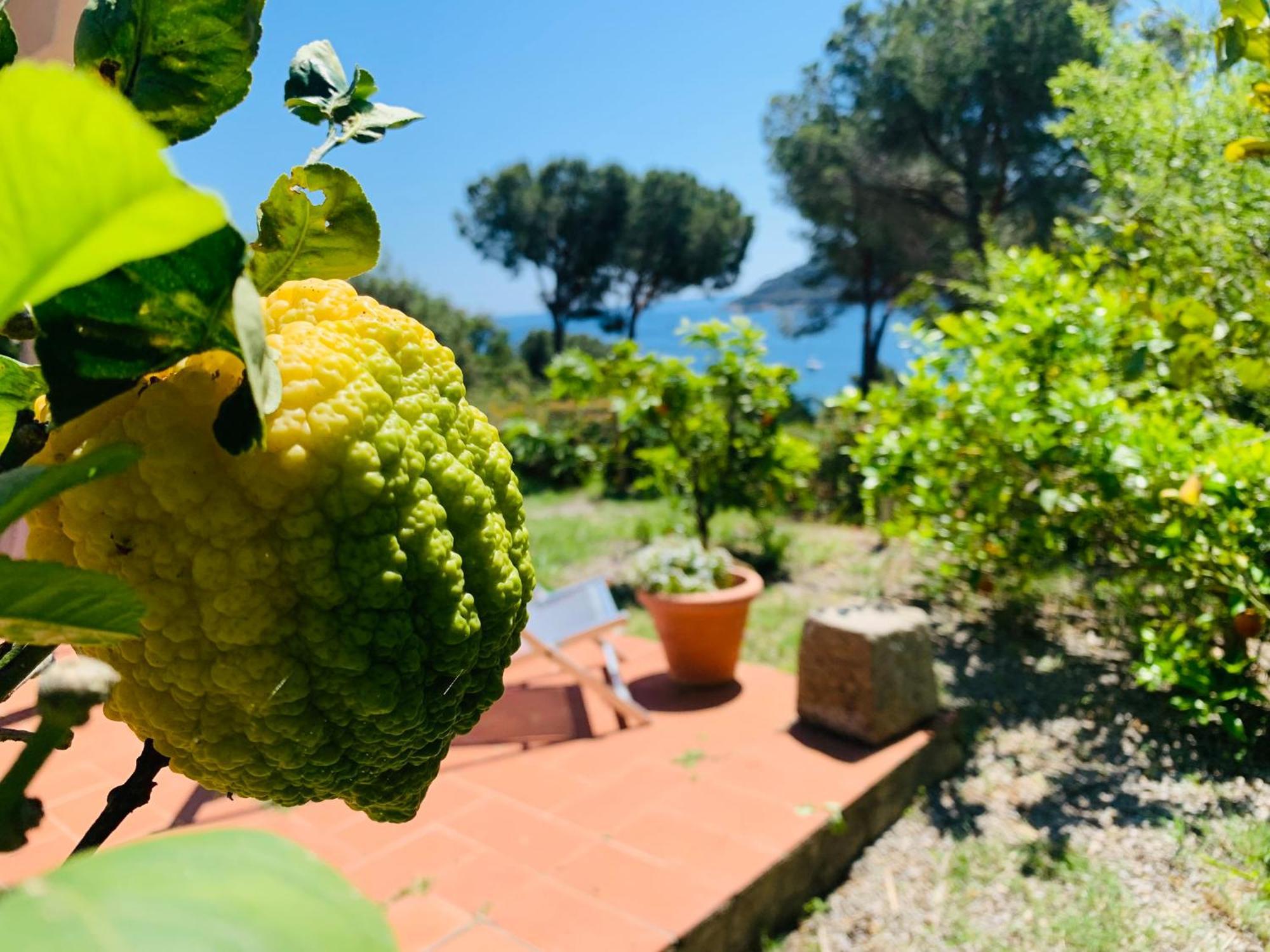 Case Dei Limoni Sul Mare كابوليفيري المظهر الخارجي الصورة