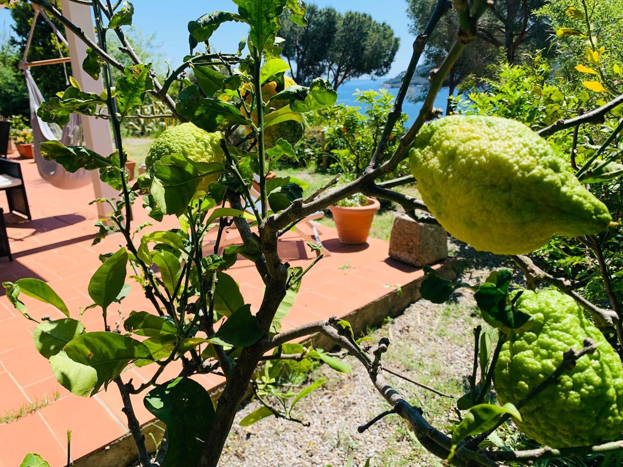 Case Dei Limoni Sul Mare كابوليفيري المظهر الخارجي الصورة