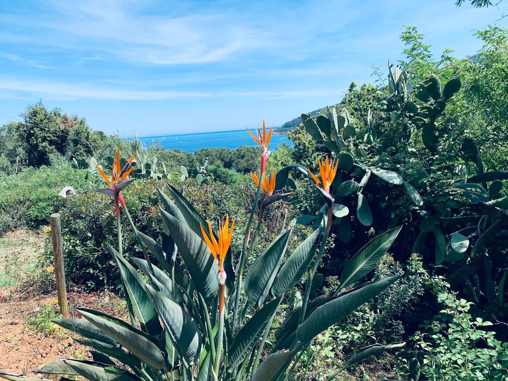 Case Dei Limoni Sul Mare كابوليفيري المظهر الخارجي الصورة